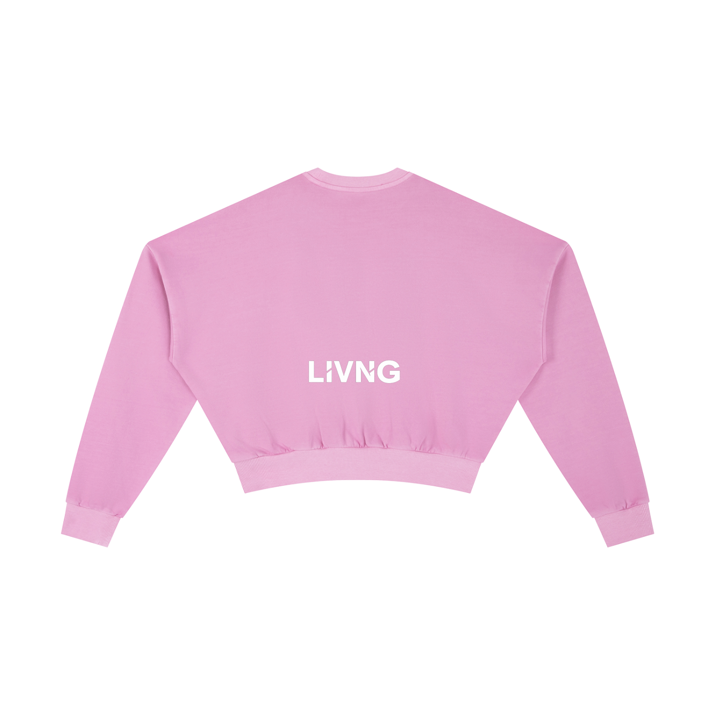 Womens Vintage Washed Cropped Sweatshirt